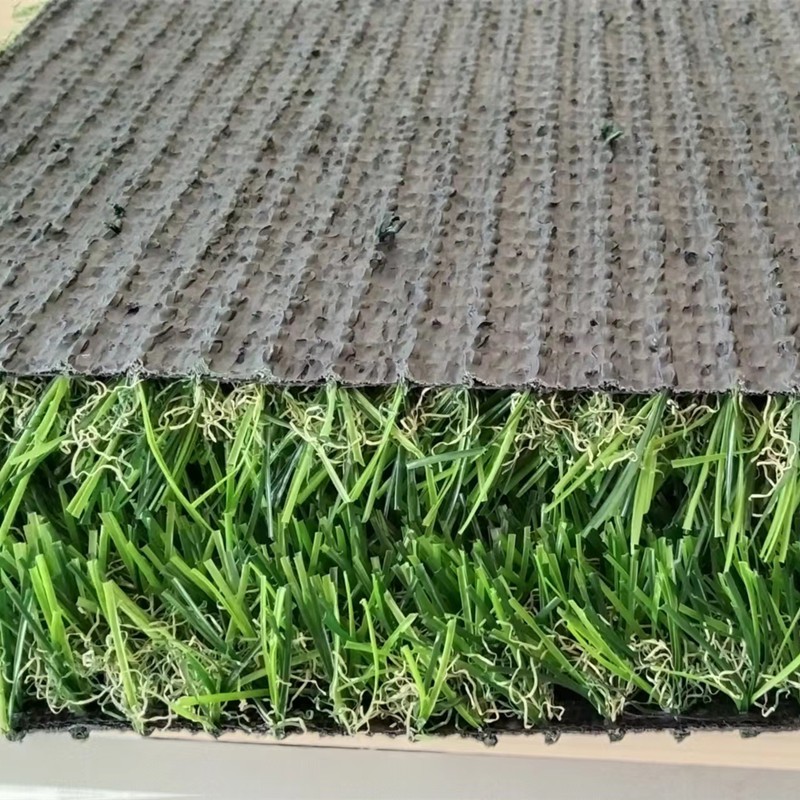 brown green grass