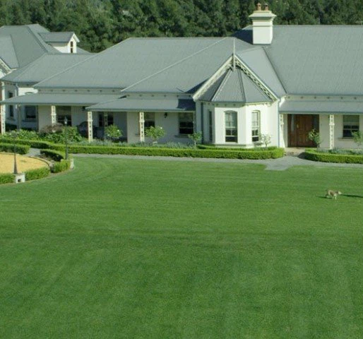 Exploration Area Grass Lawn